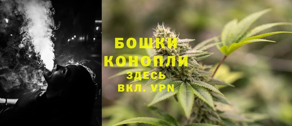 каннабис Аркадак