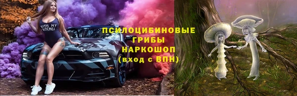 альфа пвп Армянск